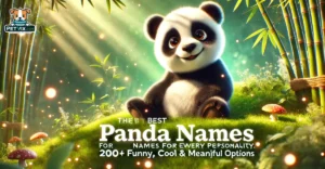 Panda Names