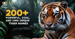 Tiger Names