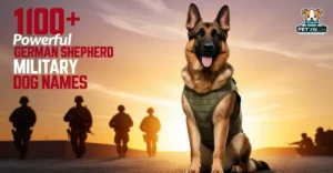 German Shepherd Military Dog Names